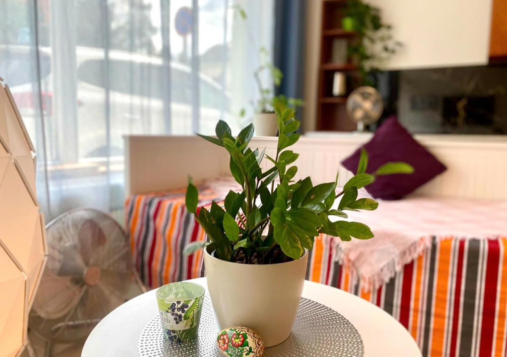 Green Studio Praha 2 L Ground Floor Free Parking Exteriör bild
